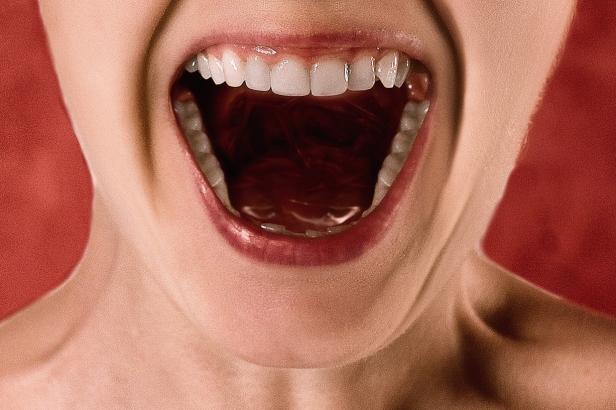 Některá zvířata si umí regenerovat zuby. Brněnský vědec zkoumá, jak to funguje