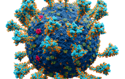 Podzimní vlna covidu je slabá. V nemocnicích je pětkrát méně lidí než loni touto dobou