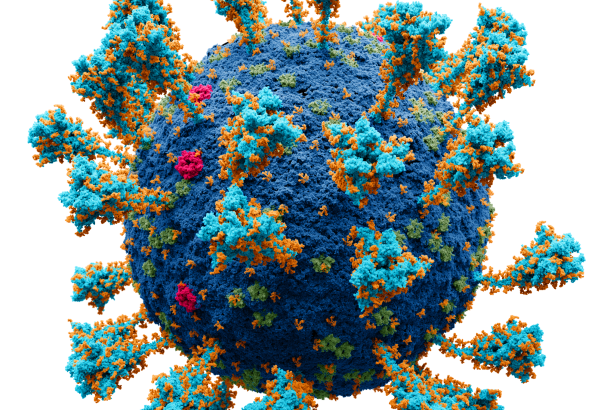 Podzimní vlna covidu je slabá. V nemocnicích je pětkrát méně lidí než loni touto dobou