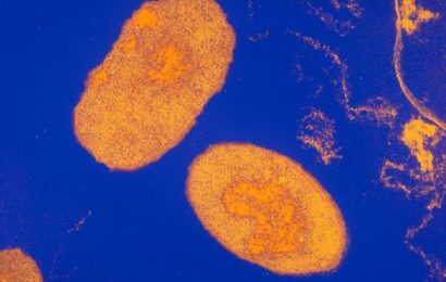 Černý kašel je v Česku opět na vzestupu, ohniska jsou mezi neočkovanými