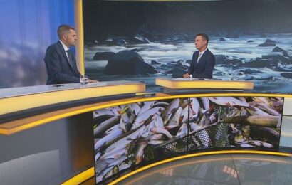 Hladík o Bečvě: Soud rozhodl jako chytrá horákyně, moudrý z toho nejsem