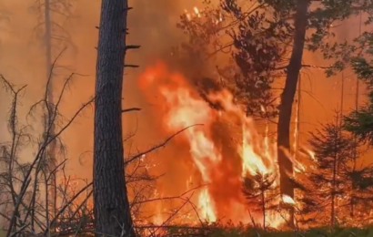 iDNES: Státní zástupce obžaloval muže v souvislosti s požárem v Českém Švýcarsku iDNES: Státní zástupce obžaloval muže v souvislosti s požárem v Českém Švýcarsku