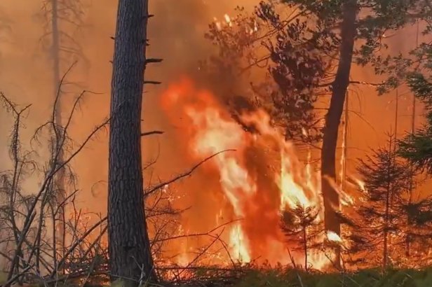 iDNES: Státní zástupce obžaloval muže v souvislosti s požárem v Českém Švýcarsku iDNES: Státní zástupce obžaloval muže v souvislosti s požárem v Českém Švýcarsku