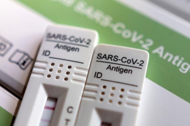 Ústavní soud vyhověl stížnosti na pandemické omezení pro žáky. Poprvé rozhodoval předseda Baxa Ústavní soud vyhověl stížnosti na pandemické omezení pro žáky. Poprvé rozhodoval předseda Baxa