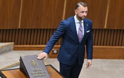 Nová slovenská vláda pokračuje v policejní „čistce“. Opozice už volá po odvolání ministra vnitra Nová slovenská vláda pokračuje v policejní „čistce“. Opozice už volá po odvolání ministra vnitra