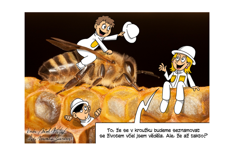 Spolek VČELÍ STRÁŽ stojí vždy na straně opylujícího hmyzu Spolek VČELÍ STRÁŽ stojí vždy na straně opylujícího hmyzu