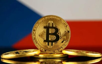 Ministerstvo spravedlnosti prodalo bitcoiny za miliardu. Darovat je měl odsouzený zločinec