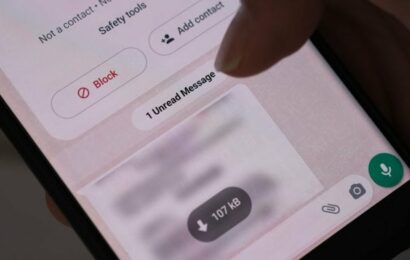 „Ahoj, podpoříš Veroniku v soutěži?“ Nový podvod na WhatsAppu se Českem říší jako lavina „Ahoj, podpoříš Veroniku v soutěži?“ Nový podvod na WhatsAppu se Českem říší jako lavina