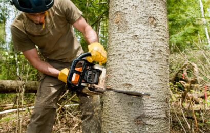 5 kroků, jak získat profesní kvalifikaci Obsluha motorové pily 5 kroků, jak získat profesní kvalifikaci Obsluha motorové pily