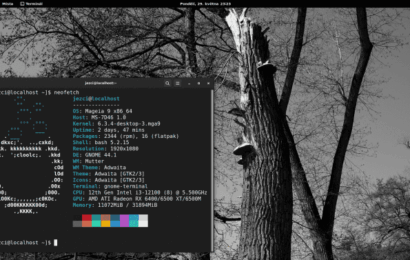 Kam kráčí Mageia: po dalších 7 letech se příliš nepohnula a je to dobře Kam kráčí Mageia: po dalších 7 letech se příliš nepohnula a je to dobře