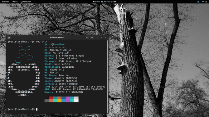 Kam kráčí Mageia: po dalších 7 letech se příliš nepohnula a je to dobře