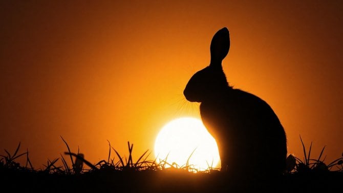 CodeRabbit: automatická analýza a recenze zdrojových kódů