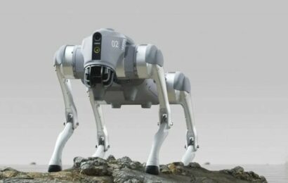 Po humanoidech začala Alza prodávat i robopsy. Cena nejlevnějšího příjemně překvapí