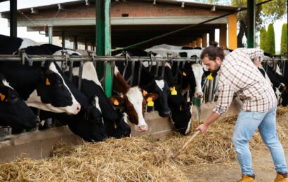 Přehled profesních kvalifikací pro splnění minimální zemědělské kvalifikace Přehled profesních kvalifikací pro splnění minimální zemědělské kvalifikace