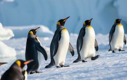 Linuxové jádro 7.0 přinese USB 3.0 pro Apple či 340MHz HDMI na Radeonech Linuxové jádro 7.0 přinese USB 3.0 pro Apple či 340MHz HDMI na Radeonech