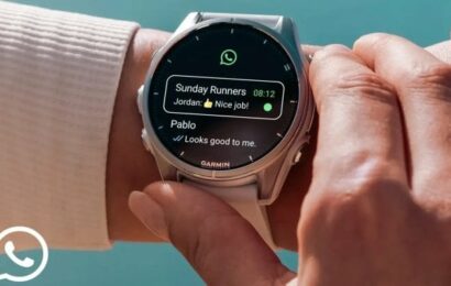 Majitelé Garminů po WhatsApp volali roky, teď je oficiální aplikace konečně tady Majitelé Garminů po WhatsApp volali roky, teď je oficiální aplikace konečně tady