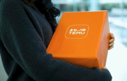 Česko udělilo Temu milionovou pokutu za hračky s borem a ftaláty. Inspekce kontroluje i Aliexpress, Shein či Allegro Česko udělilo Temu milionovou pokutu za hračky s borem a ftaláty. Inspekce kontroluje i Aliexpress, Shein či Allegro